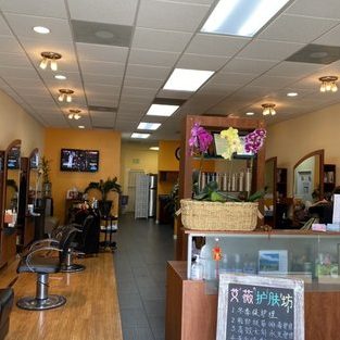 My Hair Beauty Salon 1 my hair beauty salon